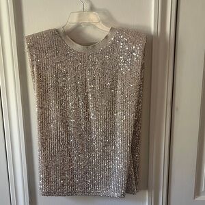 Anthropologie Endless Rose Sequin Top XS